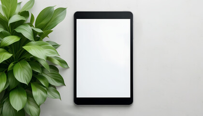 Macap.Mockup of blank tablet on marble surface with green plant, digital device, copy space
