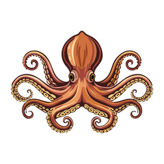 Fototapeta premium Octopus vector illustration in cartoon style. Sea animal image on isolated background.