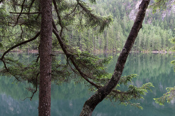 Voyage printemps Autriche forêt lac chalets en bois