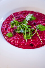 Beetroot risotto with basil and arugula pesto, 