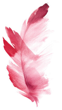 Watercolor brush strokes of red feather
