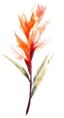 Watercolor brush strokes of tropical flora