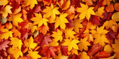 Fototapeta premium A Tapestry of Autumn Leaves in Vibrant Hues of Yellow, Orange, and Red, Creating a Stunning Display of Nature's Palette