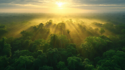 A lush forest at dawn, with rays of sunlight penetrating through the trees, symbolizing hope and renewal.