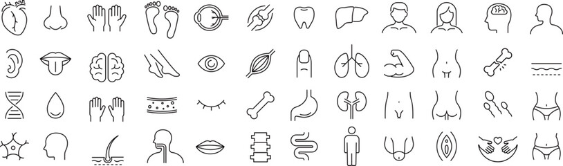 ベクターでモノクロの解剖学に関する線画アイコンセット