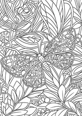 Intricate Line Art Butterfly Design Zentangle Inspired Coloring Page Botanical Illustration