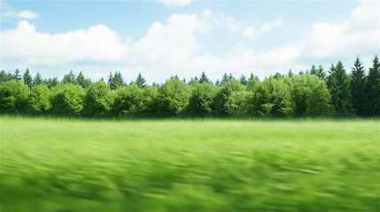 Obraz premium A vibrant green meadow stretches to the horizon, bordered by a dense forest and blue skies. An ideal nature backdrop with ample copy space.