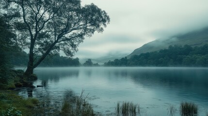 Fototapeta premium Misty lake reflections with lone tree, mountain backdrop, serene nature scene.