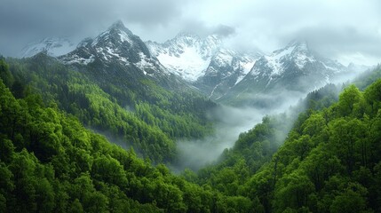 Fototapeta premium Misty mountain valley with lush green forest and snowy peaks.