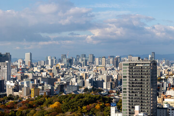 Fototapeta premium ビルの高層階から見た大阪の街並み（2024年12月撮影）