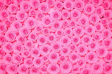 Dense arrangement of pink roses with velvety petals filling frame
