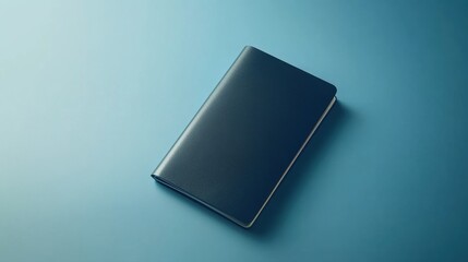 Minimalistic Passport Template, sleek design, customizable layout, ideal for personal or professional use, versatile and modern appearance