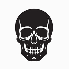 human skull front view vector 