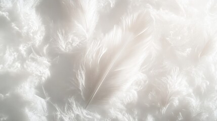 Fototapeta premium Delicate white feather, intricate textures, serene floating on smooth white canvas, showcasing elegance and simplicity