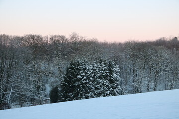 Morgengrauen am Waldrand mit Schnee