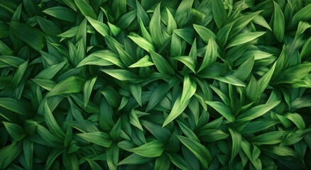 Green leaves background, texture of lush grass with green foliage. Dark nature pattern for design and wallpaper.