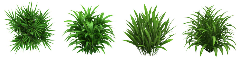 Obraz premium Lush green jungle grass cluster, dense flora, vibrant and natural beauty