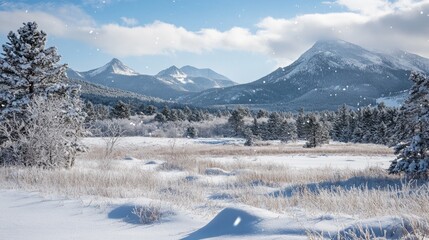 a peaceful winter landscape of a snowy meadow, 