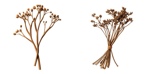Fototapeta premium Dried valerian root with realistic shading, showcasing natural textures and details