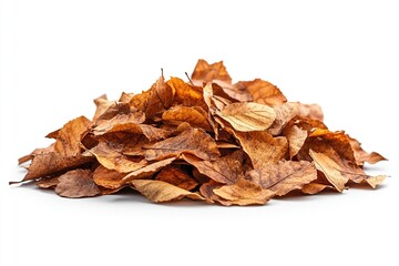 A pile of dried, brown leaves resting on a white background, showcasing the beauty of autumn decay.