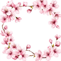 Fototapeta premium pink cherry blossom