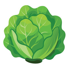 illustration of a green leaf