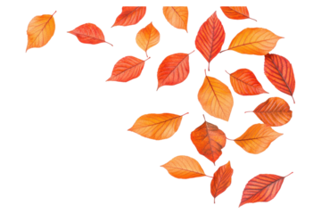 Falling autumn leaves in vibrant orange and red shades create serene scene