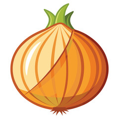 Onions isolated on white background