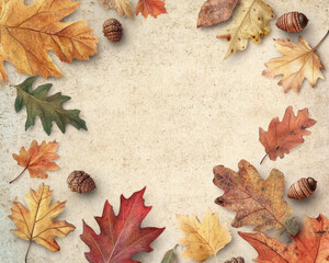 Detailed close-up of diverse autumn leaves showcasing textures and colors.