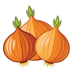 Onions isolated on white background