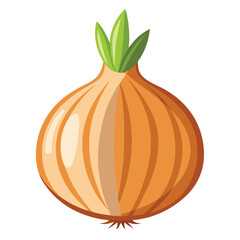 Onions isolated on white background