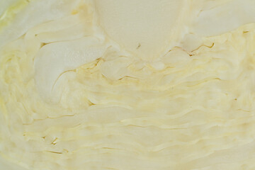 Macro Texture Cut White Cabbage, Abstract Vegetable Natural Background.