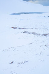 冬の鳥取砂丘の雪景色 鳥取県 鳥取砂丘