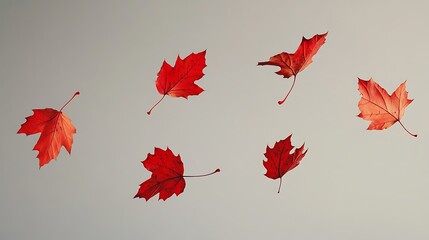A series of falling red autumn leaves in mid-air, against a muted solid background.