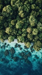 Obraz premium Tropical island forest meets turquoise ocean, aerial view.