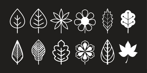Detailed botanical illustrations with creative leaf patterns