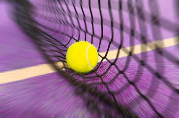 balls near the net of a blue paddle tennis court, sports courts