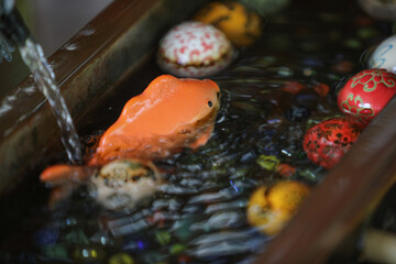 水面に浮かぶ玩具