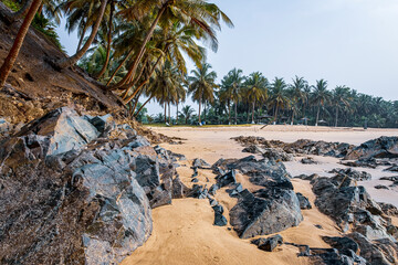Africa beach with rocks and palm trees in the tropical part of Ghana Axim beach located in West Africa
