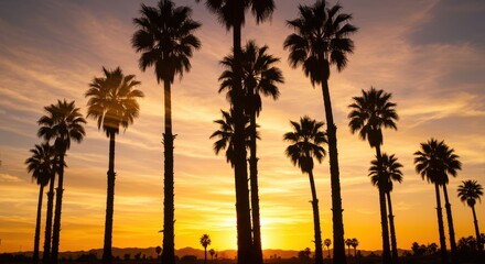 Obraz premium Ramadan Sunset Celebration with Palm Trees California Nature Photography Peaceful Atmosphere Warm Colors Reflection