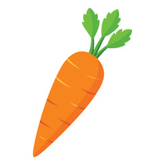 carrots isolated on white