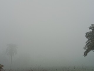 Fog on the sky during winter or water vapour in the sky 