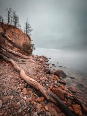 Klify. Gdynia - Orłowo. Morze Bałtyckir