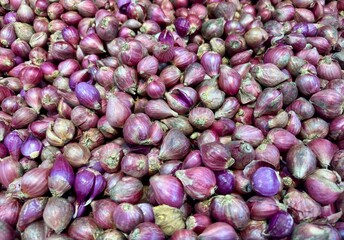 Close up photos of Shallot at supermarket. Pile of fresh red onion (Allium cepa L. var. aggregatum). Fresh shallots ready to be cooked