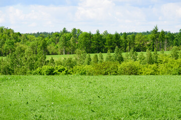 Obraz premium 春の富良野の風景