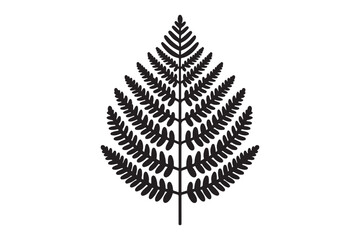 A black and white silhouette of a fern leaf 