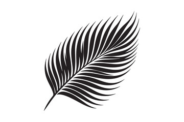 Obraz premium A Palm Tree Leaf Silhouette vector 