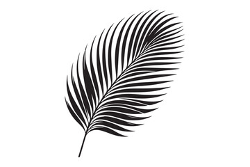 A Palm Tree Leaf Silhouette vector 