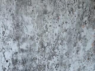 Grunge wall texture. mossy wall texture