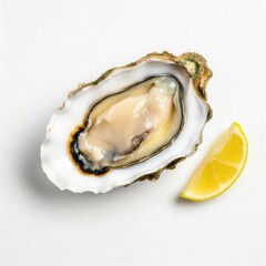 Fresh Oyster with Lemon Wedge on White Background